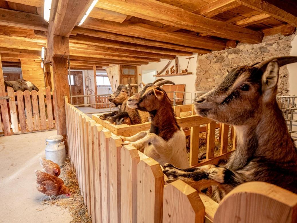 Zeiserhof Ramsau am Dachstein Luaran gambar